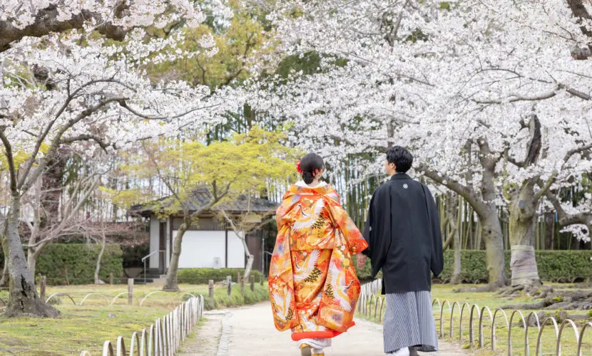 桜ロケーションフォト　後楽園