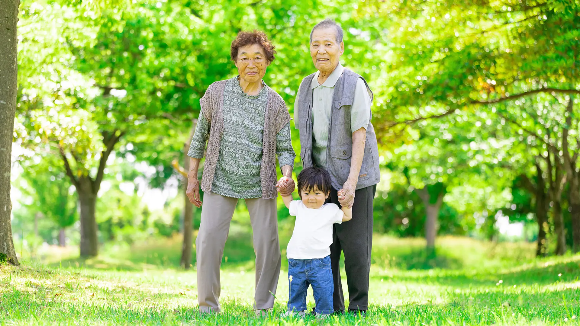 デザイン台紙のイメージ写真