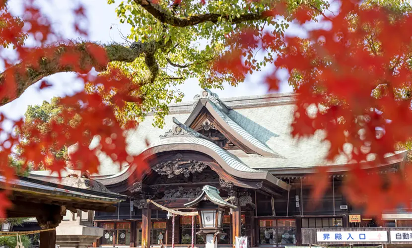 岡山県で七五三がおすすめの神社7選を紹介！選び方や参拝の作法など解説