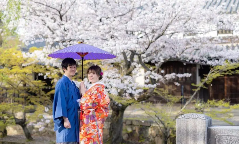 大人気 和装2着プラン