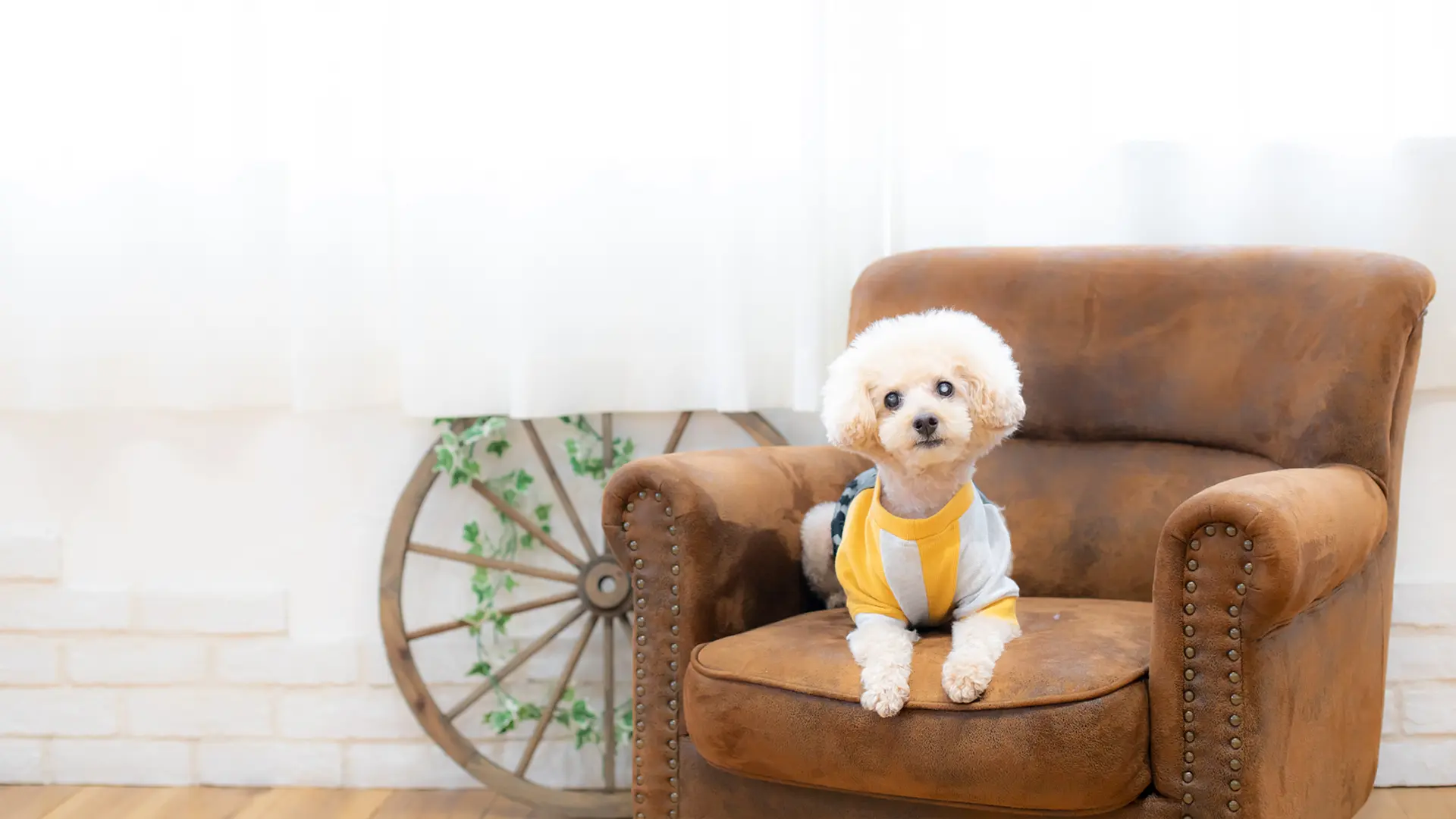 デザイン台紙のイメージ写真