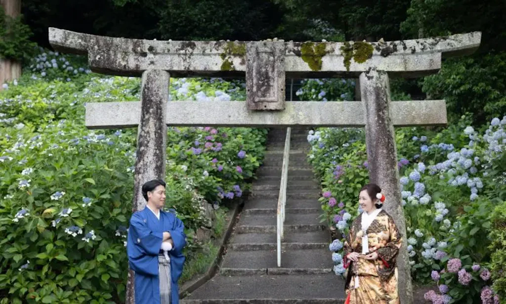 吉備津神社の紫陽花フォトウェディング｜涼やかな回廊撮影レポート