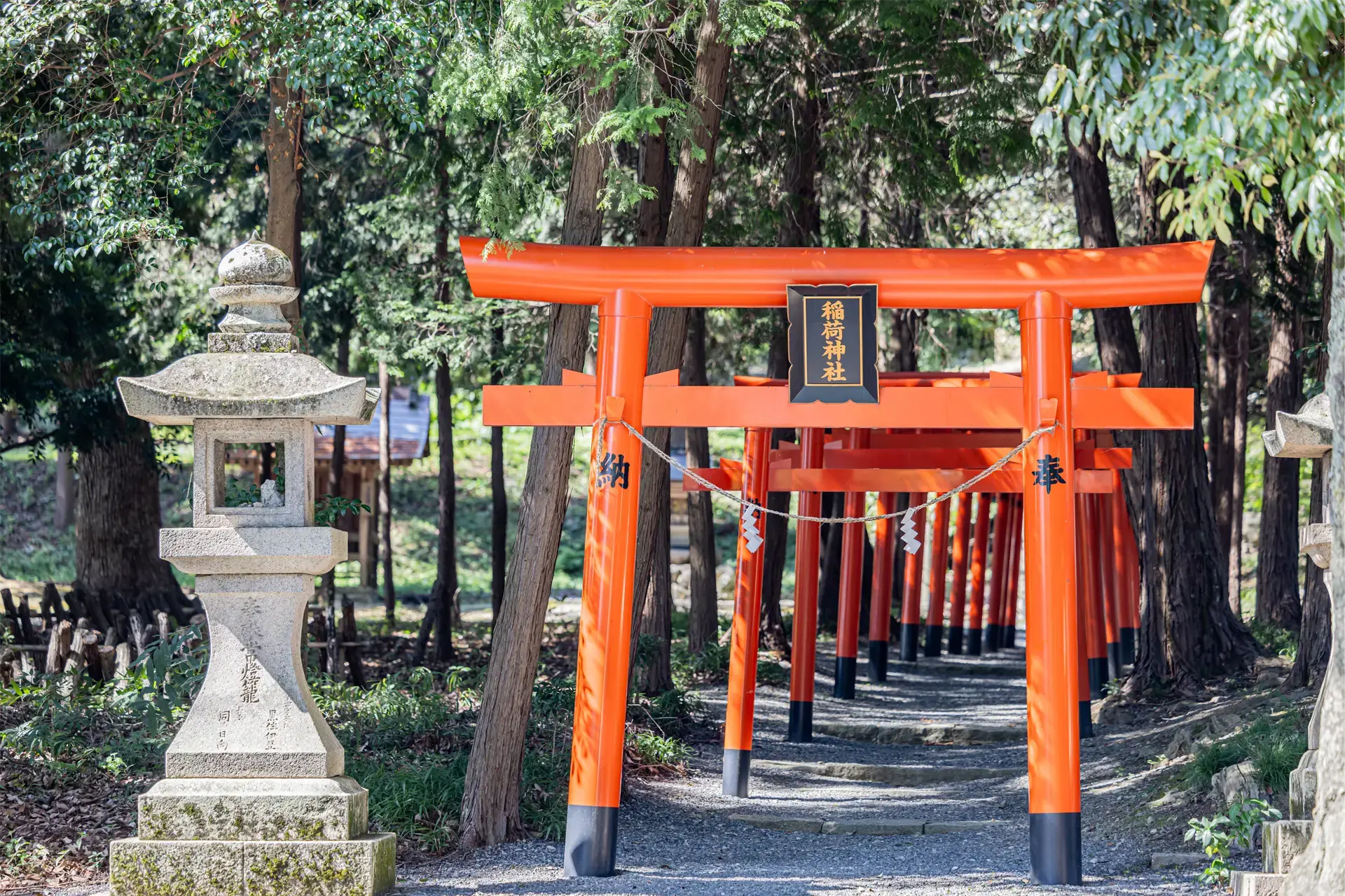 吉備津彦神社の鮮やかな朱色の鳥居。岡山での七五三和装前撮りにおすすめのロケーション。