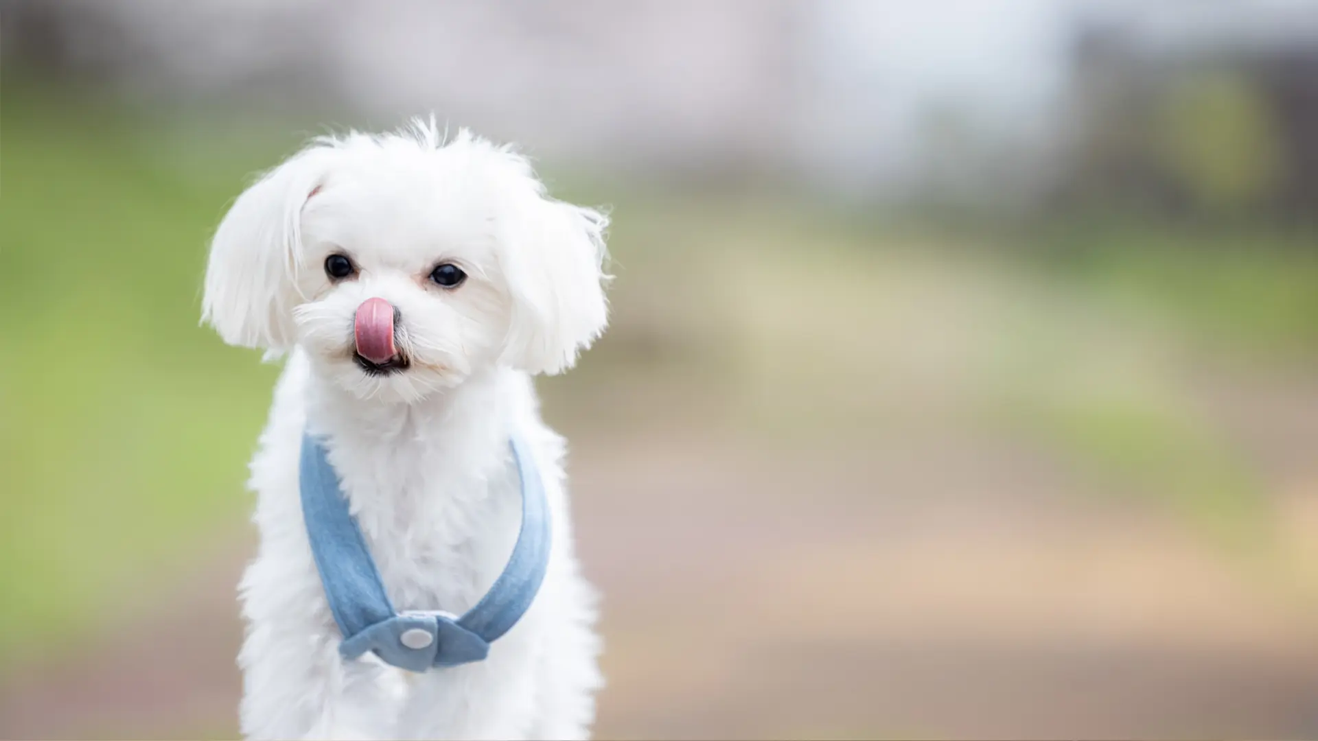 撮影のみ（ロケーション）のイメージ写真