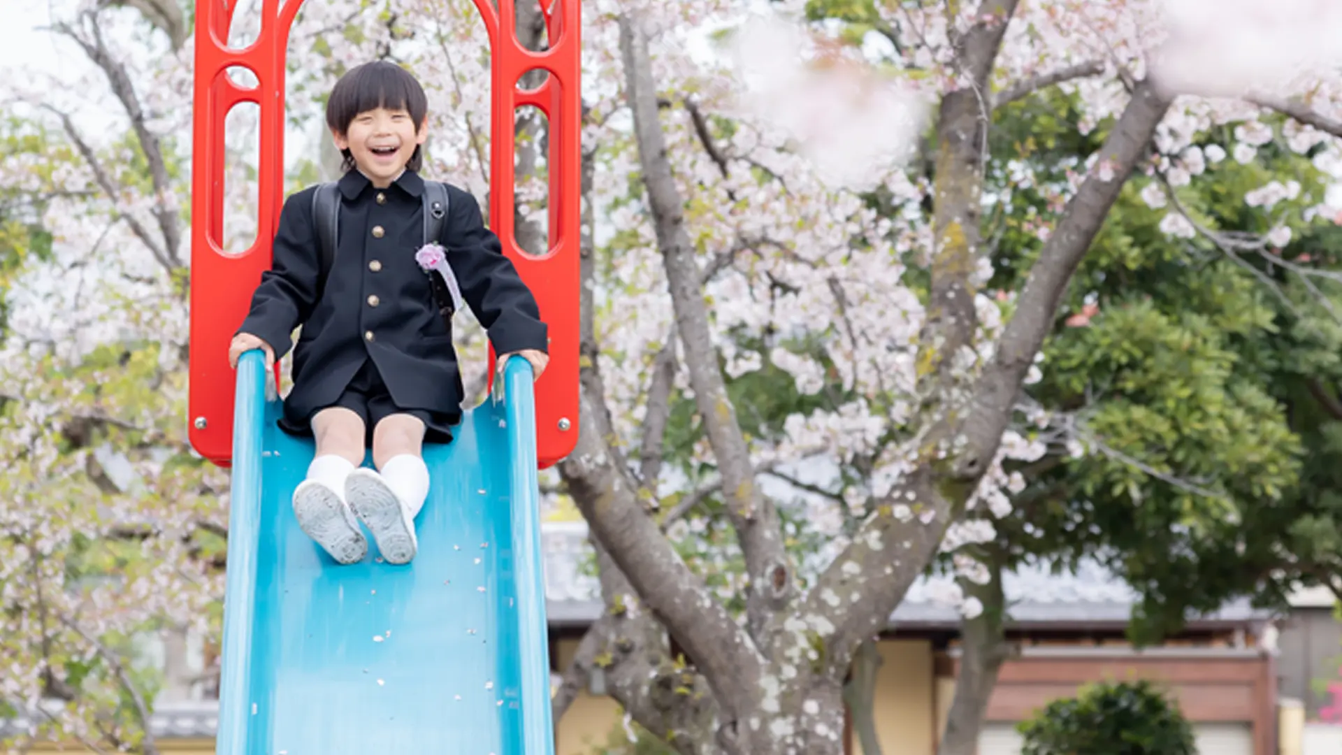 デザイン台紙のイメージ写真