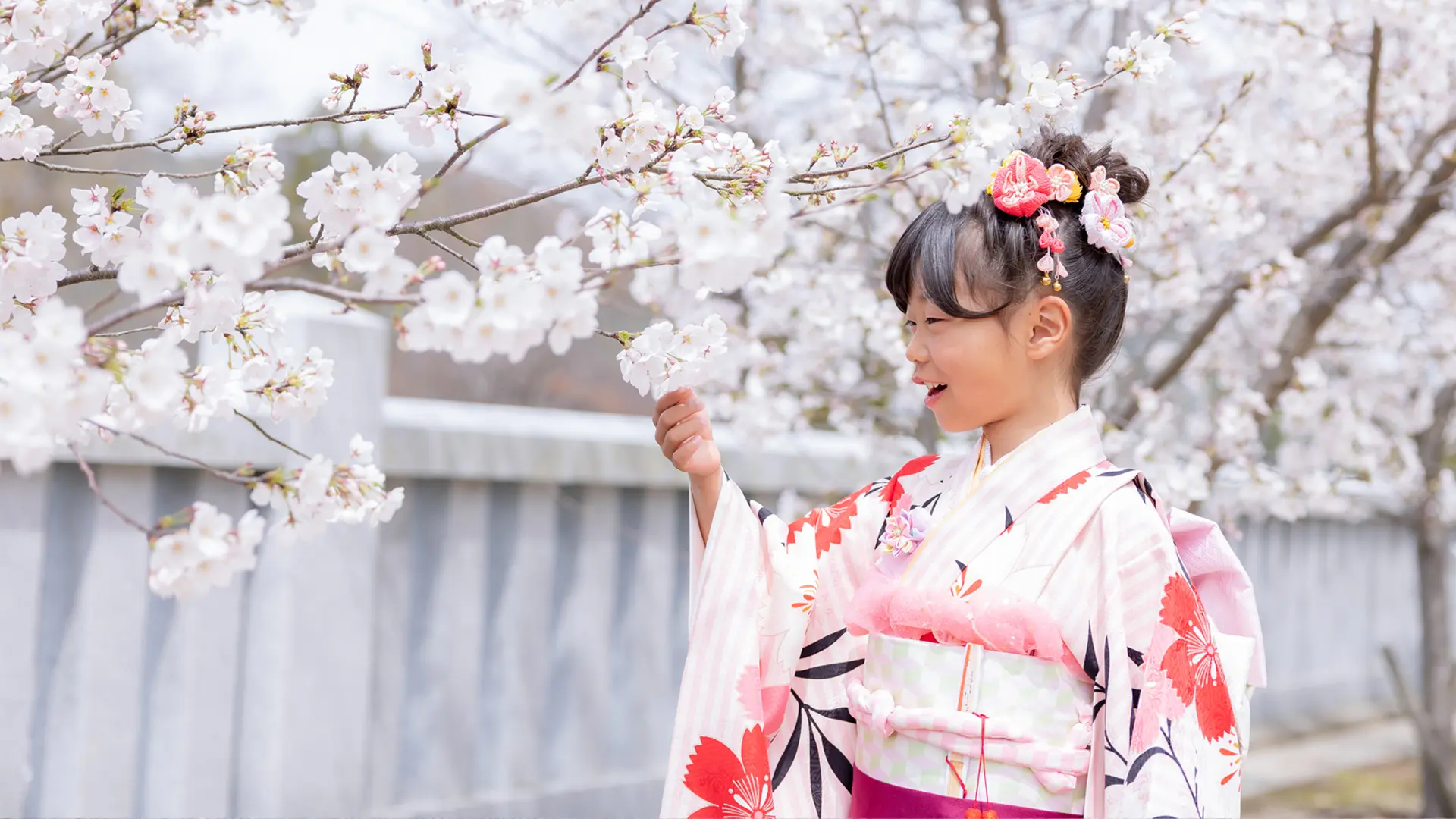 デザインアルバムのイメージ写真