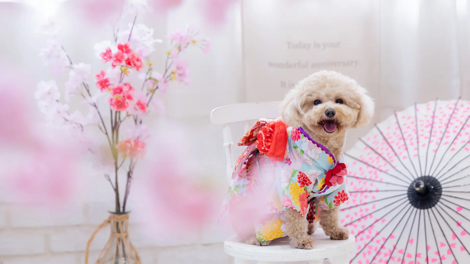 デザインアルバム＆フォトパネルのイメージ写真