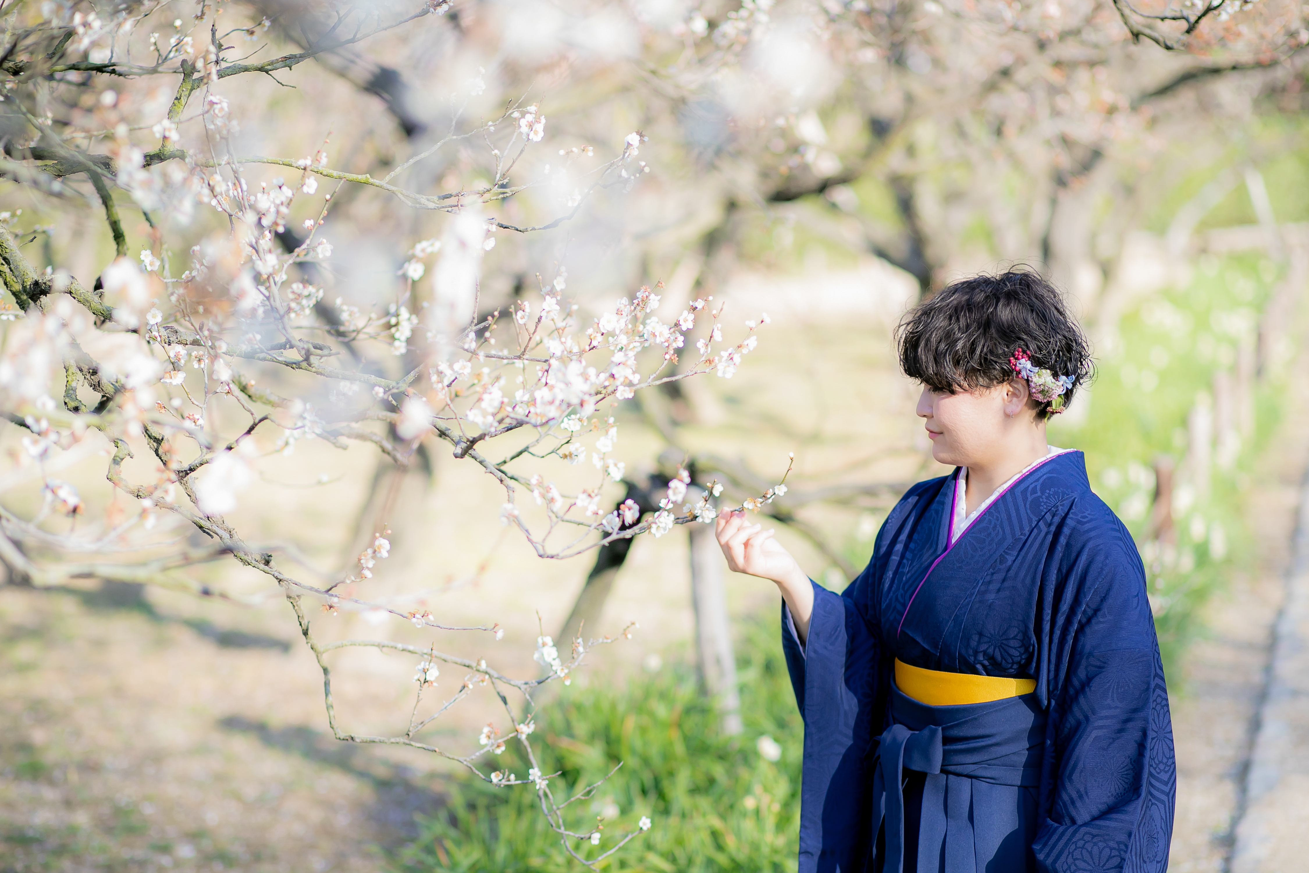 デザインアルバム＆フォトパネルのイメージ写真