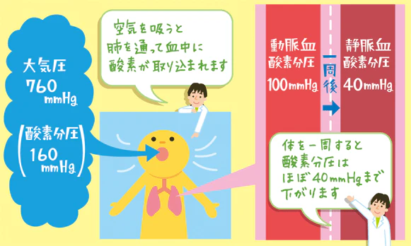 臨床でよく行われる治療ー酸素投与説明イラスト