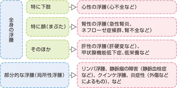 浮腫から考えられる疾患