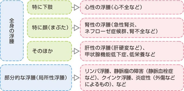 浮腫から考えられる疾患