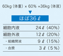 体液の組成計算式