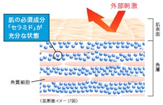 バリア機能が高く、潤って肌荒れしにくい状態