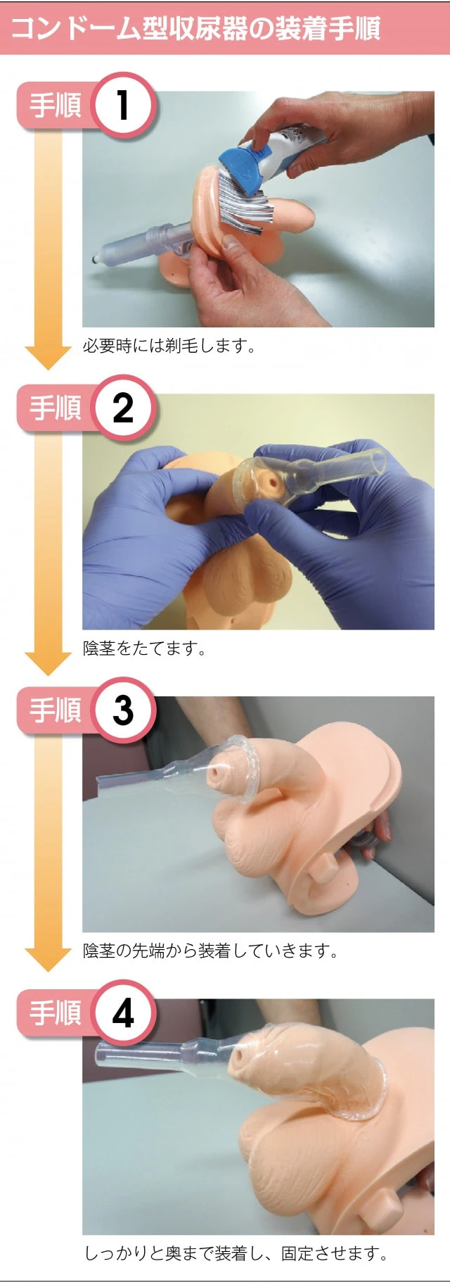導 尿 方法