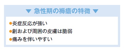 急性期の褥瘡の特徴