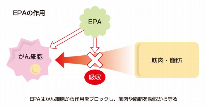 EPAの作用説明イラスト