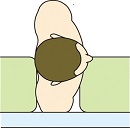 (左)垂直イラスト図