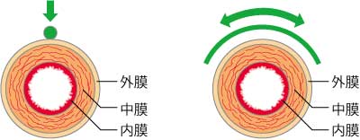 血管のさわり方
