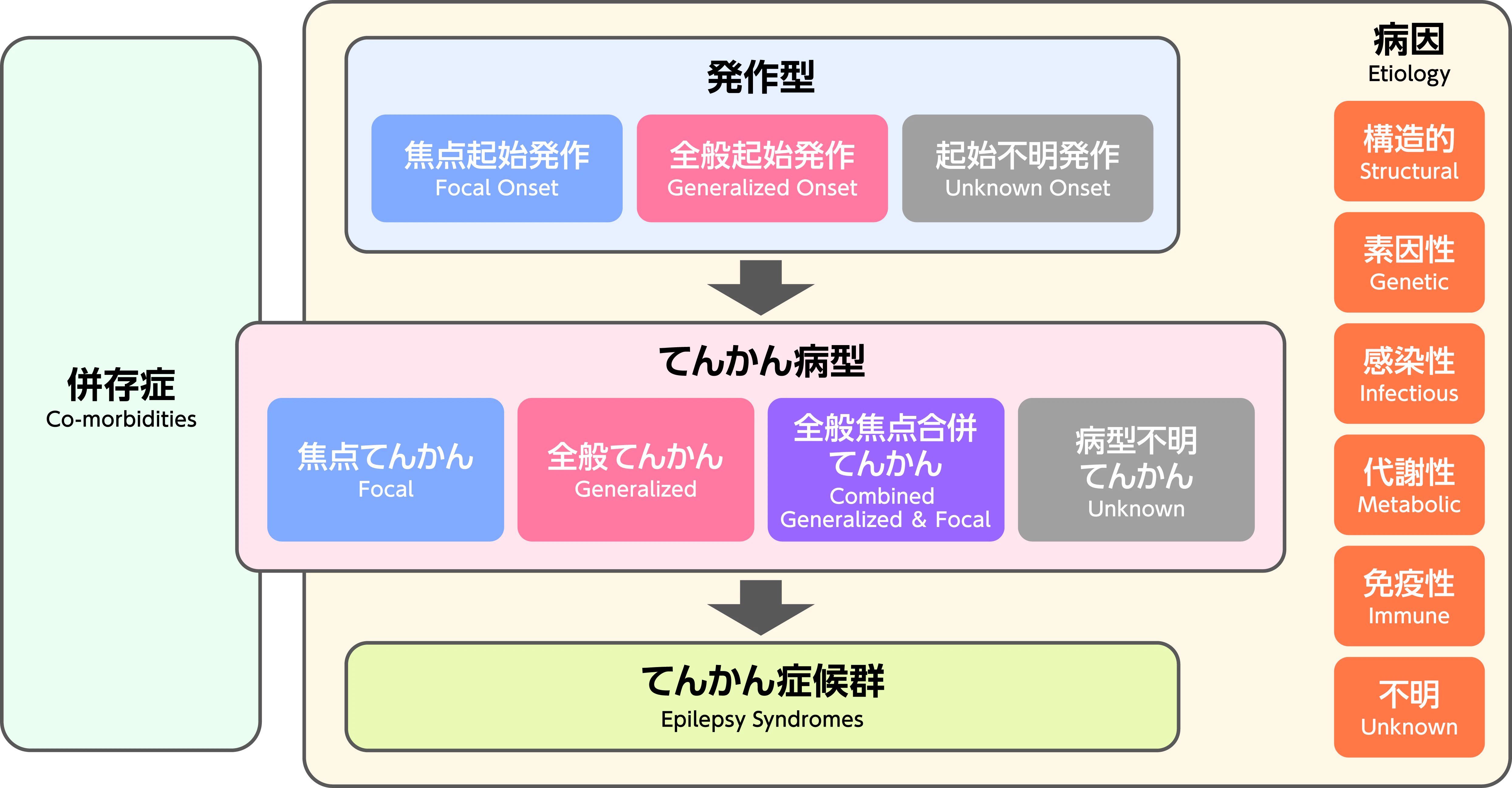 てんかんの分類