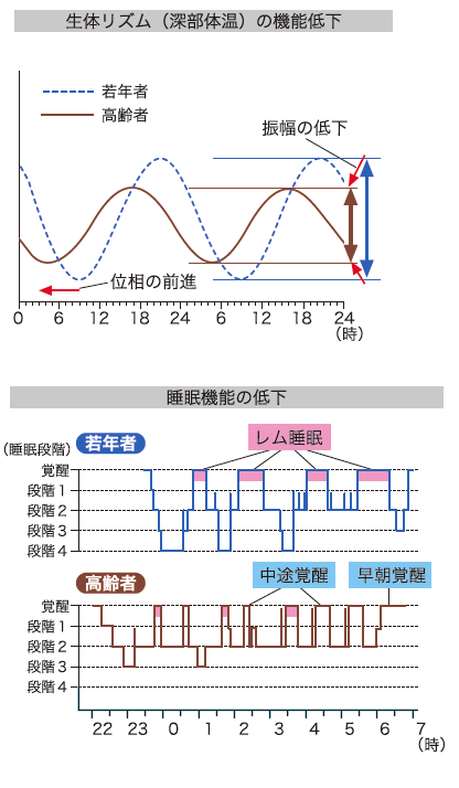 睡眠のメカニズム説明図