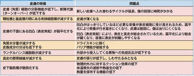 高齢者の脆弱な皮膚特徴と問題点についての表