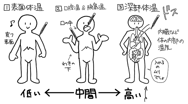 体温説明イラスト