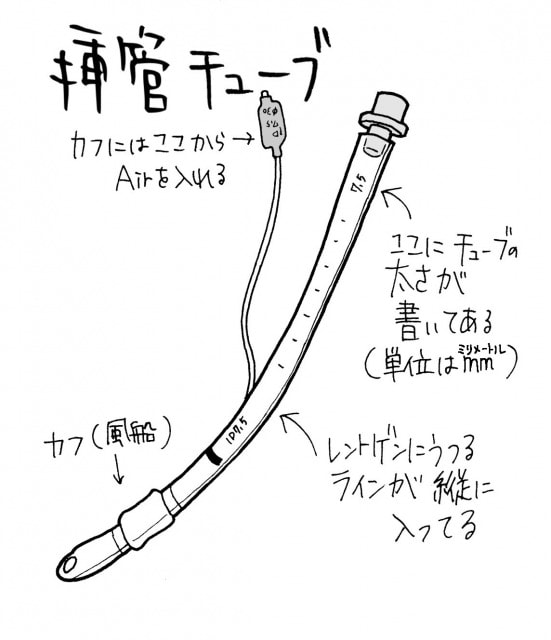 気管挿管に必要な挿管チューブの全体像