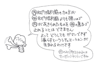 肛門括約筋の解説