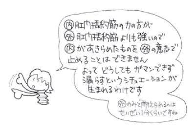 肛門括約筋の解説