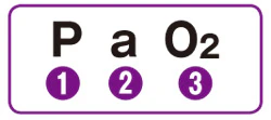 PaO2を例とした場合