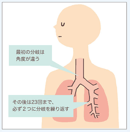 詳細説明図