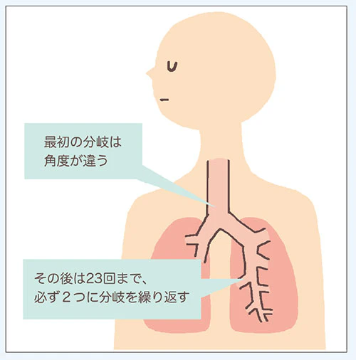 詳細説明図