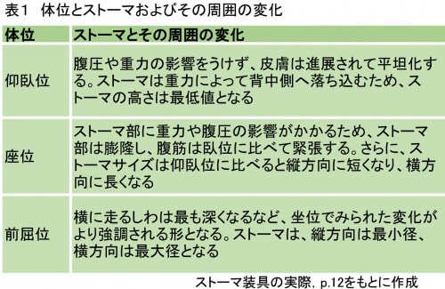 体位とストーマおよびその周囲の変化の詳細説明図