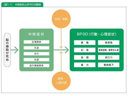 表:中核症状とBPSDの関係