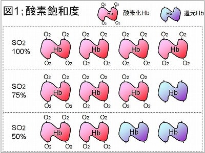 酸素飽和度説明図