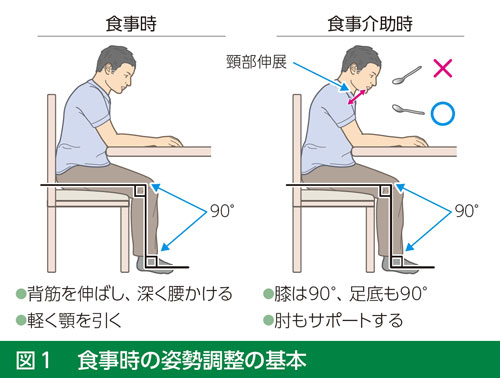 fig1
