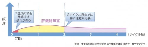 スチバーガ®による肝機能障害の発現時期