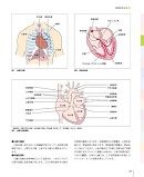 看護に役立つ病態生理とアセスメント内容②