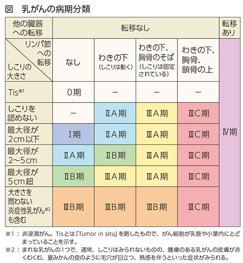 乳がんの病期分類