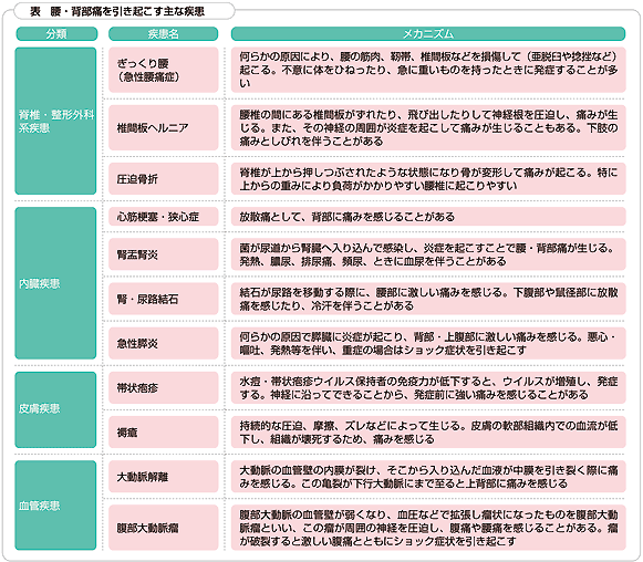 腰・背部痛を引き起こす主な疾患