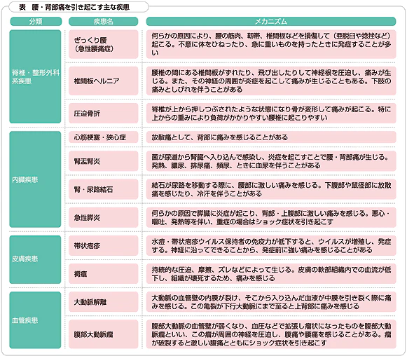 腰・背部痛を引き起こす主な疾患