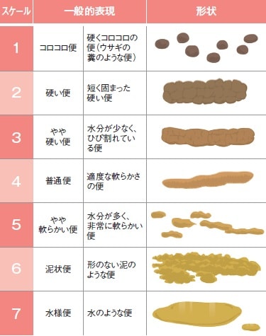 ブリストルスケール