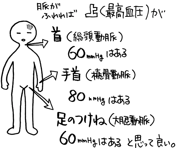 血圧値を推定できる3つの動脈とその値