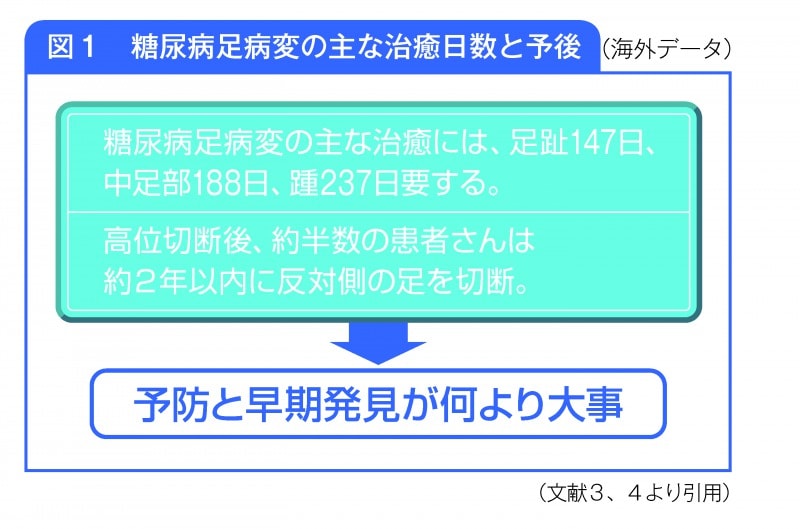 糖尿病足病変の主な治癒日数と予後説明図