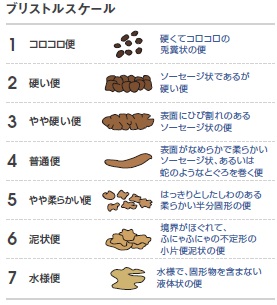 ブリストルスケール