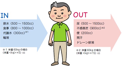 水分IN/OUTの基本量