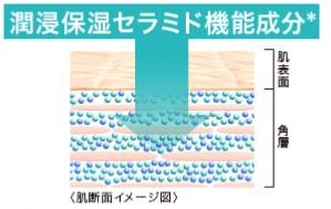 潤浸保湿セラミド機能成分説明図
