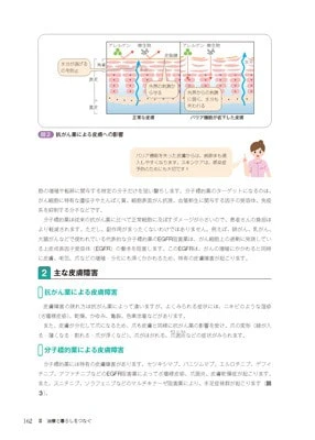 がんの治療と暮らしのサポート実践ガイド内1ページ