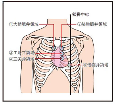 聴診の流れ