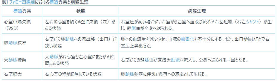 表1 ファロー四徴症における構造異常と病態生理